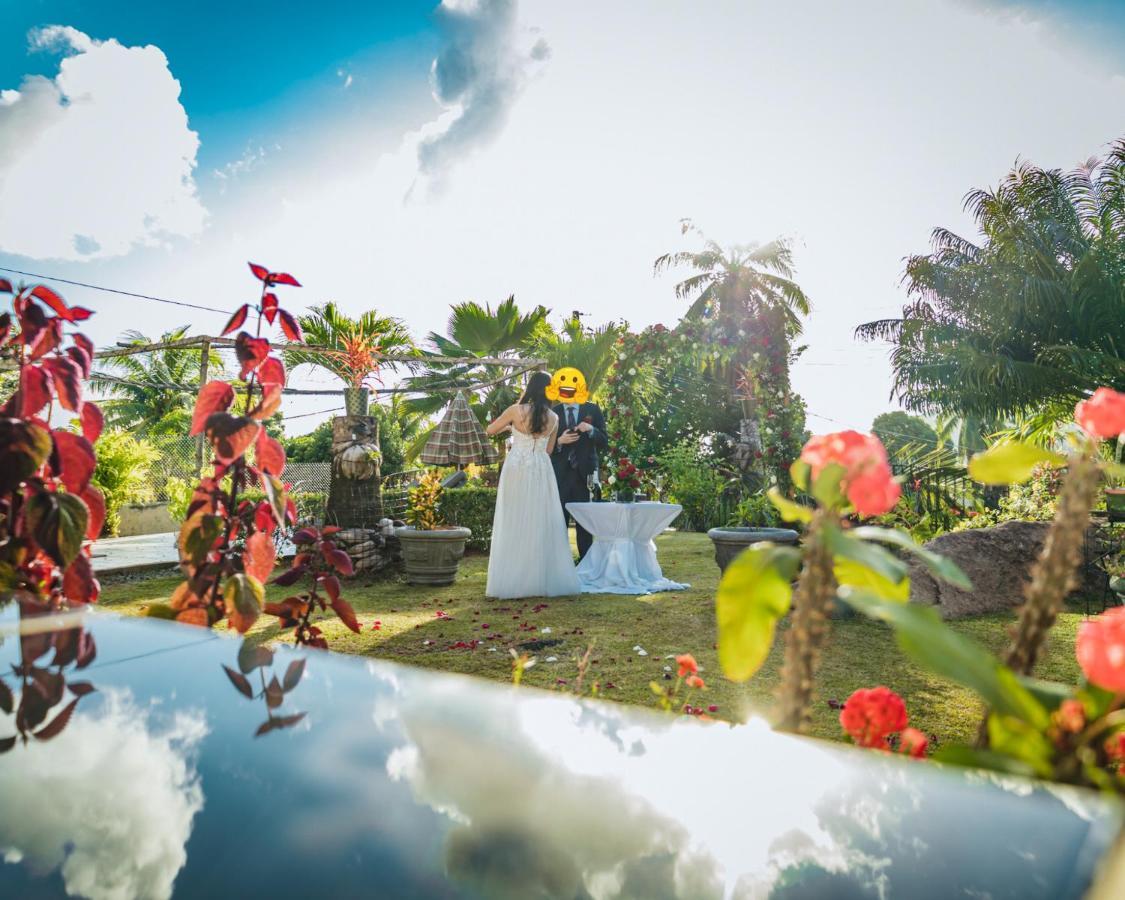 Grand Anse  The Orchard Holiday Home المظهر الخارجي الصورة