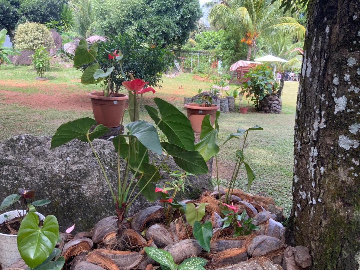 Grand Anse  The Orchard Holiday Home المظهر الخارجي الصورة