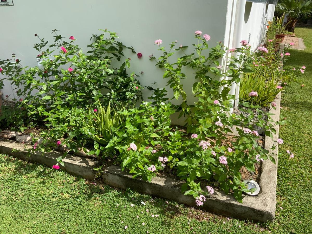 Grand Anse  The Orchard Holiday Home المظهر الخارجي الصورة