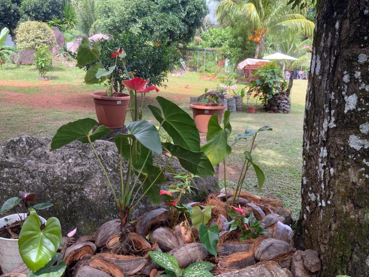 Grand Anse  The Orchard Holiday Home المظهر الخارجي الصورة