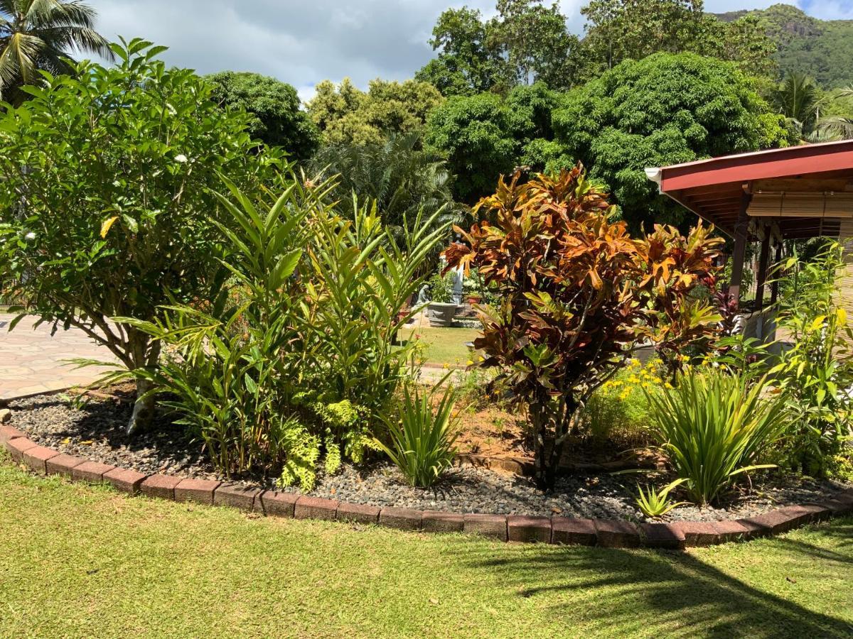 Grand Anse  The Orchard Holiday Home المظهر الخارجي الصورة