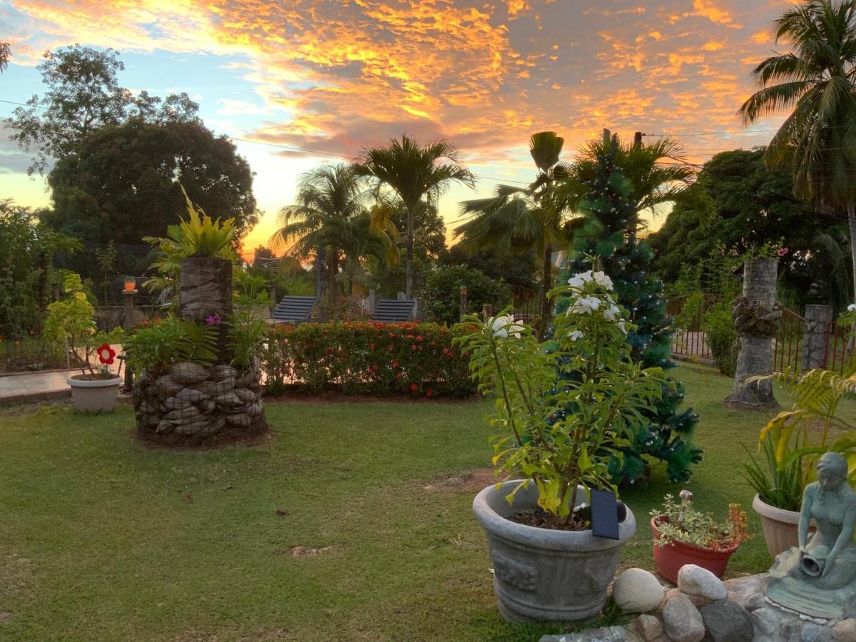 Grand Anse  The Orchard Holiday Home المظهر الخارجي الصورة