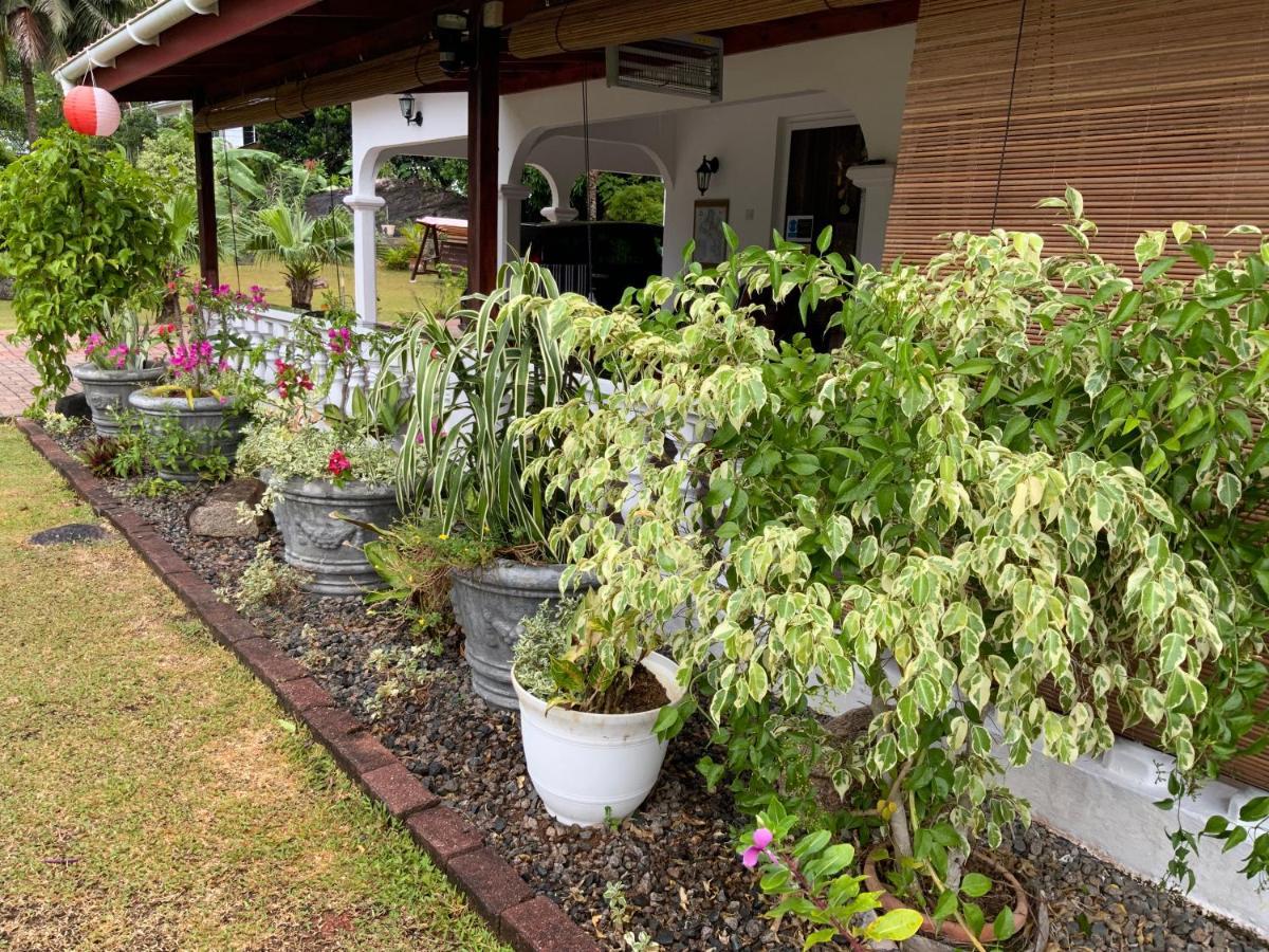 Grand Anse  The Orchard Holiday Home المظهر الخارجي الصورة