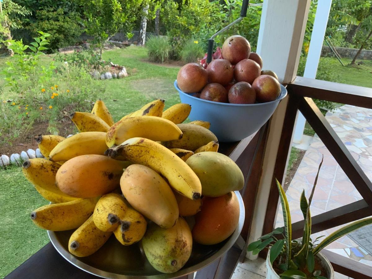 Grand Anse  The Orchard Holiday Home المظهر الخارجي الصورة