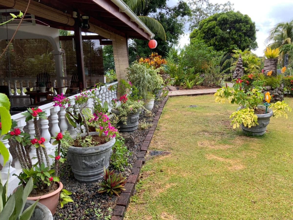 Grand Anse  The Orchard Holiday Home المظهر الخارجي الصورة