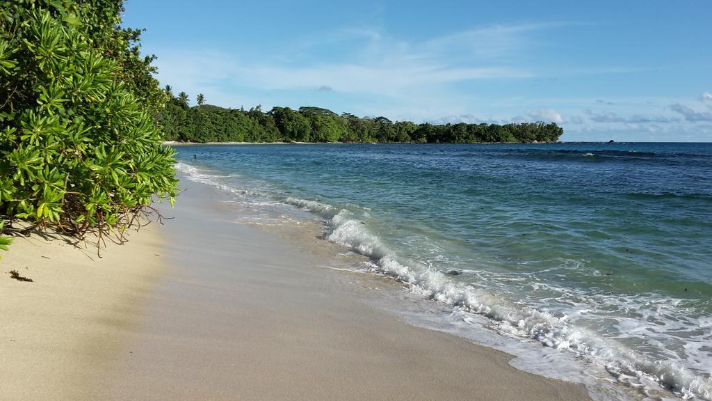 Grand Anse  The Orchard Holiday Home المظهر الخارجي الصورة