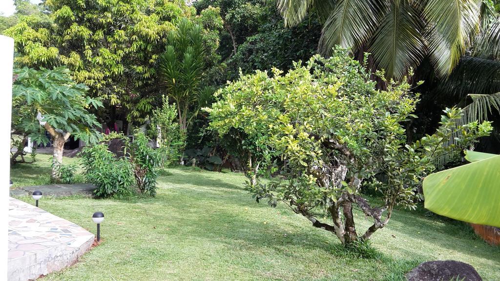 Grand Anse  The Orchard Holiday Home المظهر الخارجي الصورة