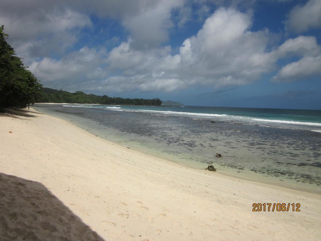 Grand Anse  The Orchard Holiday Home المظهر الخارجي الصورة