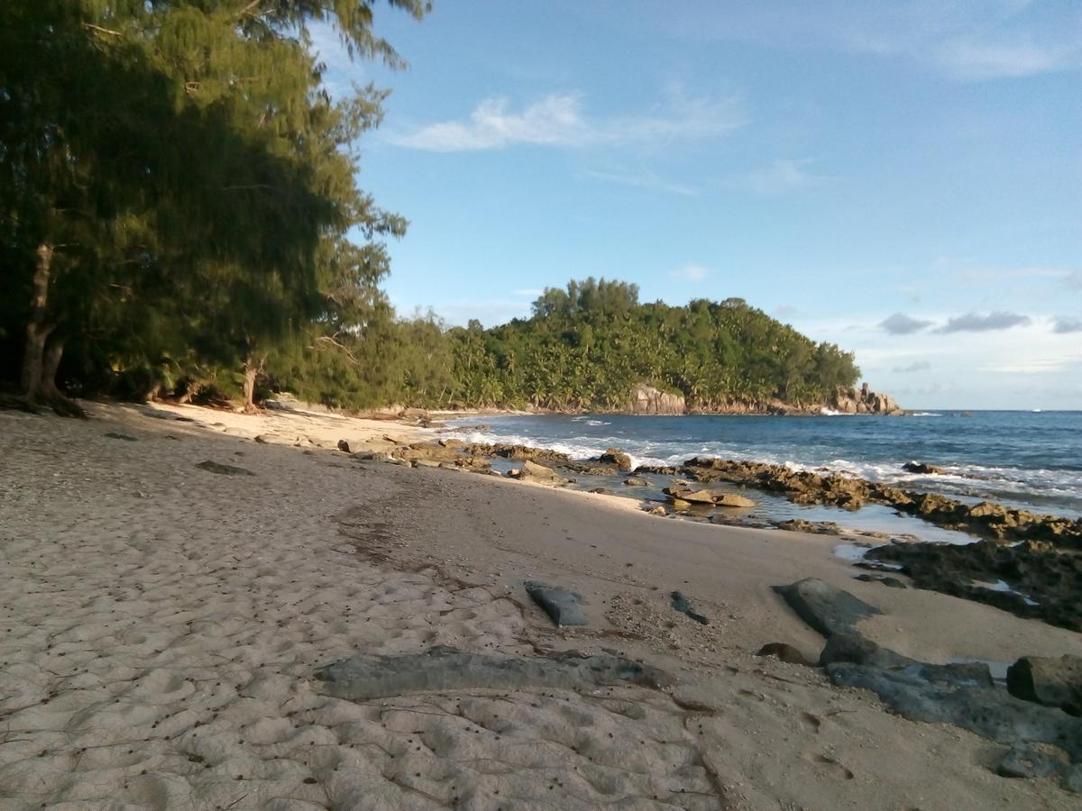 Grand Anse  The Orchard Holiday Home المظهر الخارجي الصورة