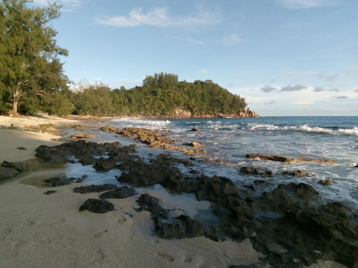 Grand Anse  The Orchard Holiday Home المظهر الخارجي الصورة