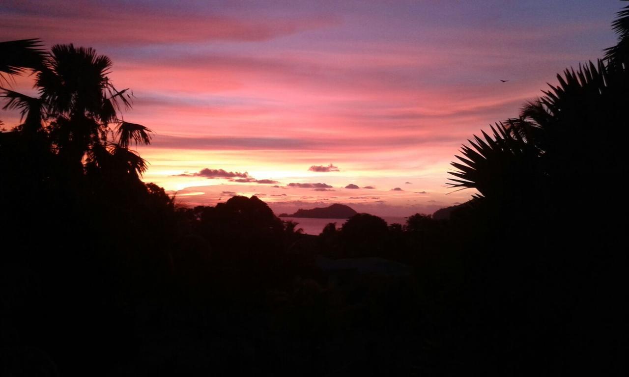 Grand Anse  The Orchard Holiday Home المظهر الخارجي الصورة